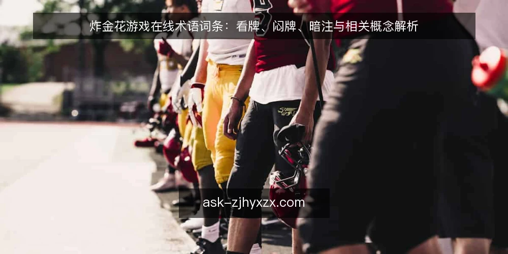 炸金花游戏在线术语词条：看牌、闷牌、暗注与相关概念解析 — 炸金花游戏在线常见术语概览 配图